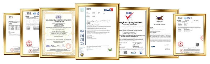 product-800-246 product-800-246