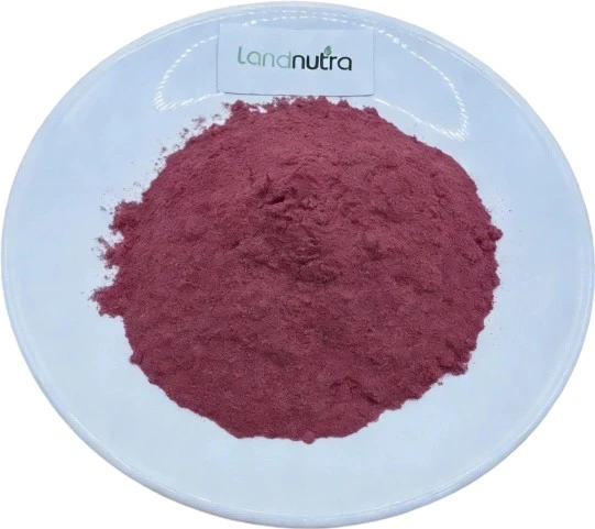 Pure Saffron Extract Powder suppliers Pure Saffron Extract Powder suppliers