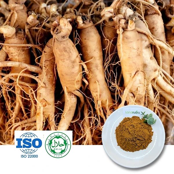 Siberian Ginseng Extract Powder Siberian Ginseng Extract Powder